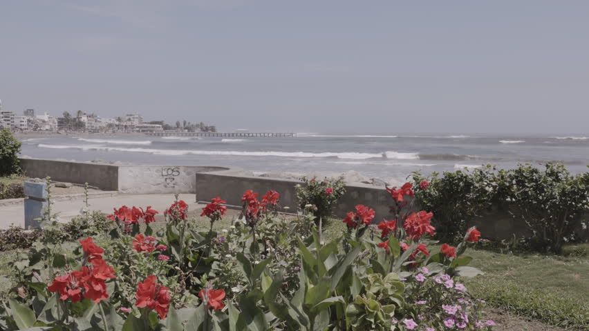 a long shot of the pier and colorful red flowers on the waterfront of the popular seaside town of huachaco, peru