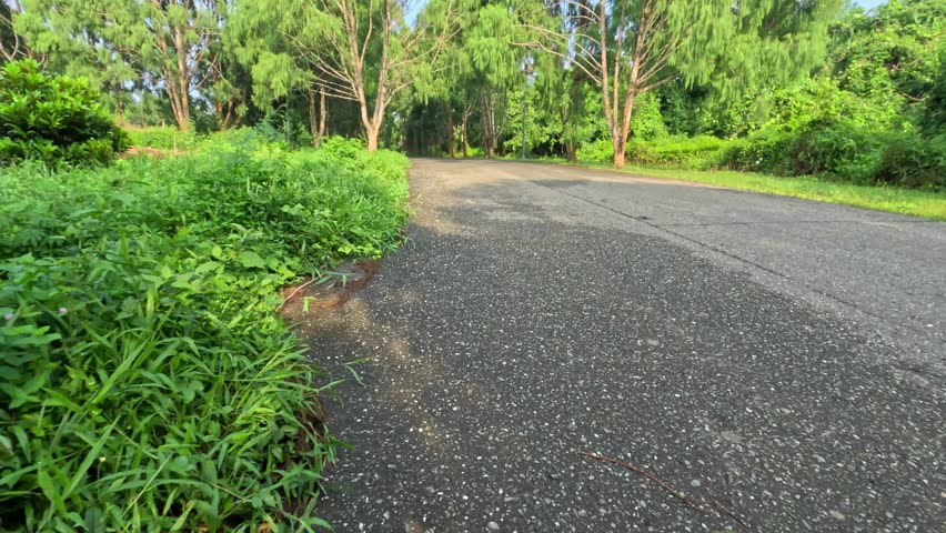 point of view of man shadow running or jogging with green trees on asphalt road in the morning