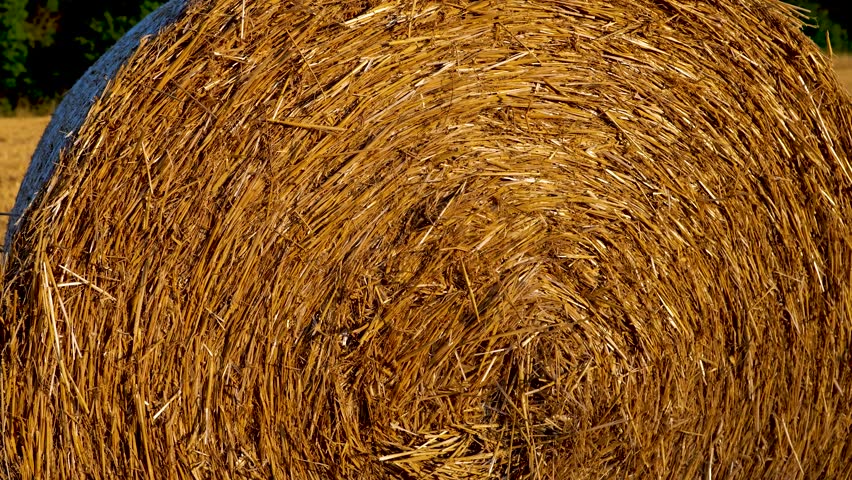 Close-Up Zoom-In of a Hay Bale at Golden Hour Sunset in Countryside Field