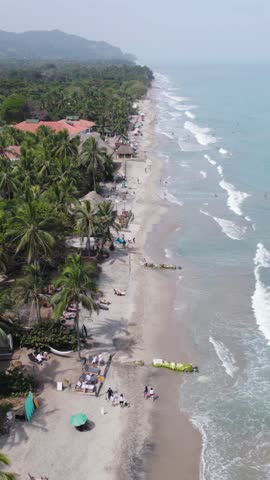 Aerial view showcasing Palomino coastline, palm trees, and beach tranquility. Vertical Video, Push Forward