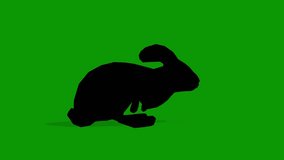 Black Silhouette Rabbit Walking Right Side-Green Screen Clip - Powered by Shutterstock - Get 15% off with code: PIKWIZARD15