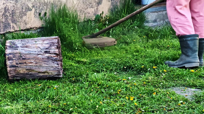 Woman cutting grass with brush cutter in blooming countryside yard