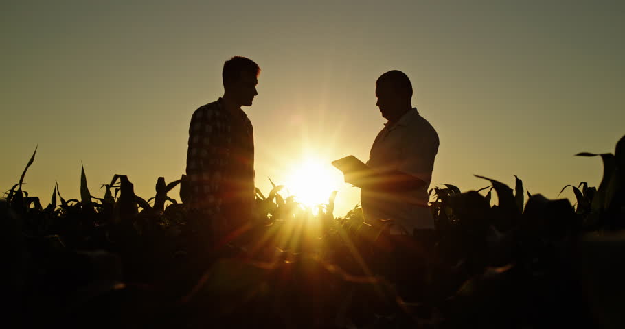 Two farmers standing in a cornfield at sunset shaking hands, silhouetted by the setting sun as they finalize an agreement or partnership. High quality 4k footage