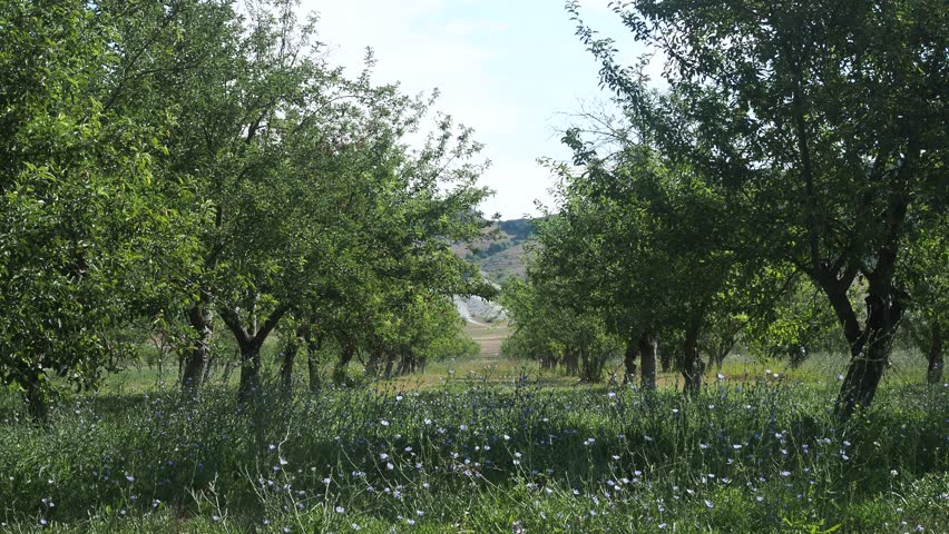 Wild West. Ranch at the foot of a huge cliff.	