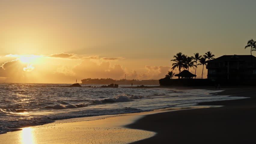 Scenic footage from Punta Cana and the Dominican Republic, showcasing turquoise Caribbean waters, lush jungle, white-sand beaches, and vibrant tropical nature.