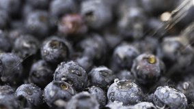 water droplets spraying on Fresh blueberry. Juicy bilberry background. Harvest fruit time - Powered by Shutterstock - Get 15% off with code: PIKWIZARD15