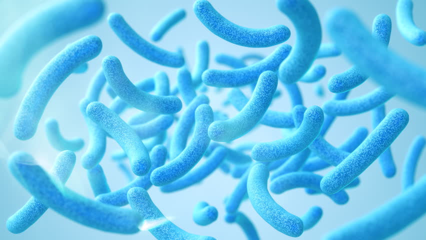 Lactobacillus bacteria, probiotic medical background 3d illustration.
