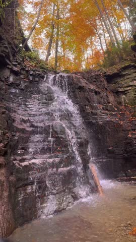 Ukraine, Carpathian Mountains, a small waterfall in an orange autumn forest near a large waterfall Bukhtivets, Pasichna village, Nadvirna city