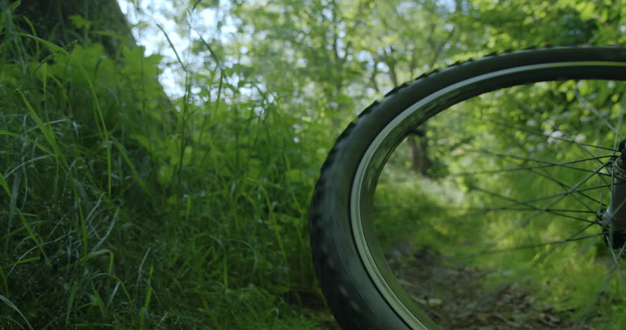 Bike wheel spokes spinning to a stop on forest path. Close up
