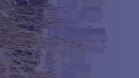 Animation of user photos and icons over cityscape. Social media, data processing, network and technology concept digitally generated video. - Powered by Shutterstock - Get 15% off with code: PIKWIZARD15