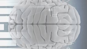 Animation of biometric fingerprint and digital data processing over brain ancomputer servers. Global cyber security, connections, cloud computing and data processing concept digitally generated video. - Powered by Shutterstock - Get 15% off with code: PIKWIZARD15