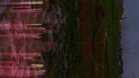 Power lines stretching across landscape with colorful data animation overlay. Electricity, power grid, energy, technology, innovation, digital - Powered by Shutterstock - Get 15% off with code: PIKWIZARD15