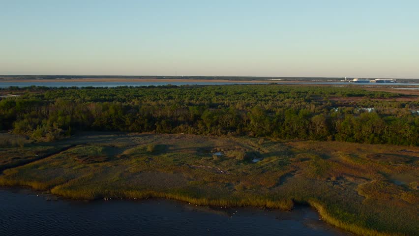Aerial view of marshland meeting the dark blue water, with trees and a building in the background under a clear sky, Brunswick, Georgia, United States.