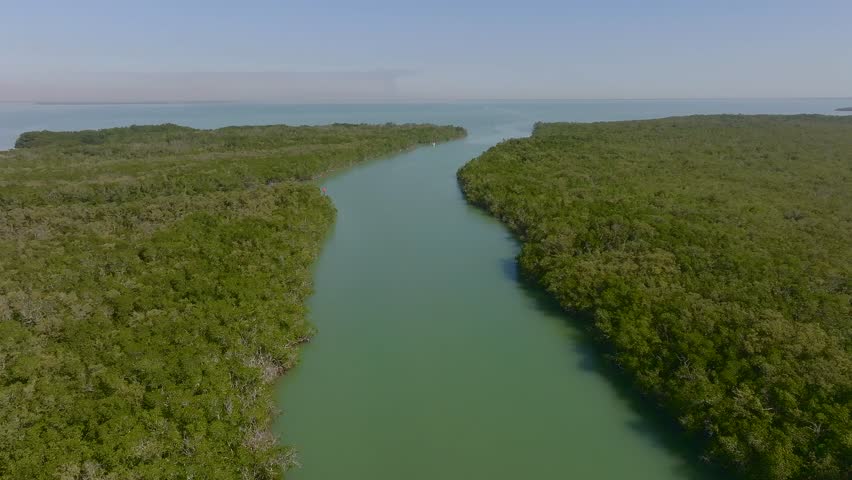 Aerial view of a waterway cutting through dense green mangrove forests, contrasting with the turquoise waters, Key Largo, Florida, United States.