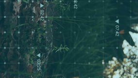 Health and fuel icons animation over forest landscape with time markers. Nature, environment, technology, sustainability, infographic - Powered by Shutterstock - Get 15% off with code: PIKWIZARD15