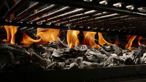 Spiced chicken fillet drops onto a hot grill with fire and smoke. Seasoning scatters as meat hits the grates. Camera moves up from burning coals. Dramatic slow motion shot, dark background. - Powered by Shutterstock - Get 15% off with code: PIKWIZARD15