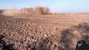 a man walks a dog through the snowy fields of Ukraine in winter. winter wheat sprouted in autumn, spring is coming soon and a new grain harvest for the whole worl - Powered by Shutterstock - Get 15% off with code: PIKWIZARD15