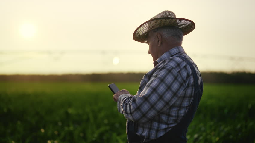 Internet addiction and mobile gadgets use, old man with smartphone in farmland. Senior farmer testing new app for mobile phone in agriculture, innovations for agribusiness, aged agronomist with phone