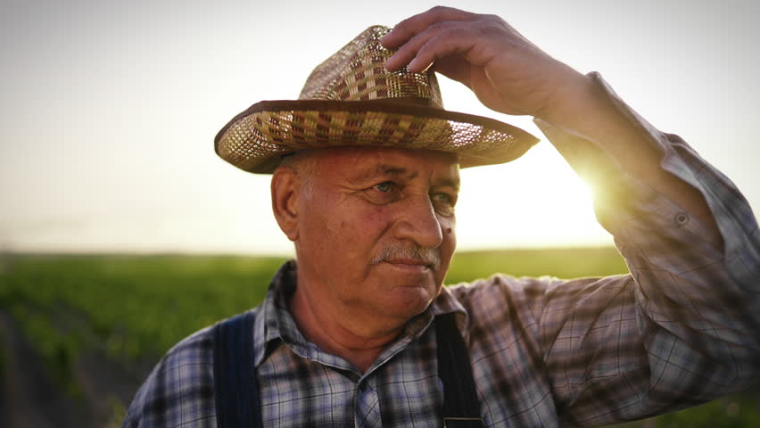 Portrait of charismatic old countryman in beautiful rural landscape in summer. Elderly farmer or agronomist standing alone in farmland, closeup of wrinkled face, person with straw hat for sun protect