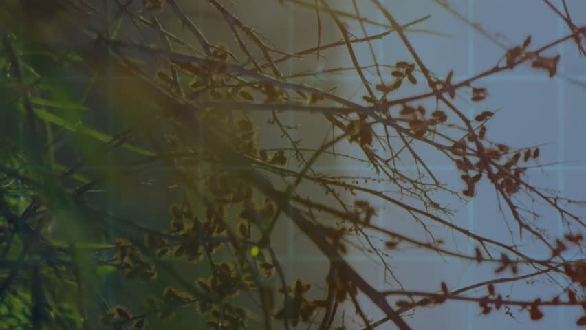 6G technology animation overlaying digital interface on rural landscape scene. innovation, connectivity, communication, wireless, future, network - Powered by Shutterstock - Get 15% off with code: PIKWIZARD15