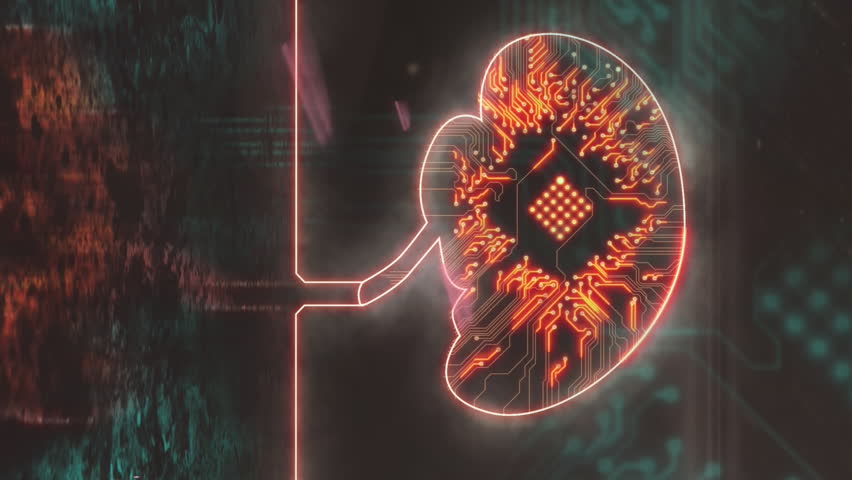 Animation of light trails over brain icon with computer circuit board on black background. Global technology, computing and digital interface concept digitally generated video. - Powered by Shutterstock - Get 15% off with code: PIKWIZARD15