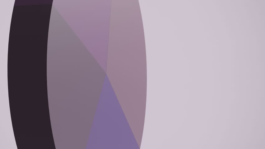 Animation of pie chart financial data processing over light purple background. Global business, finances, computing and data processing concept digitally generated video. - Powered by Shutterstock - Get 15% off with code: PIKWIZARD15