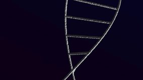 Animation of dna strand over colourful light trails on black background. Global science, technology, computing and digital interface concept digitally generated video. - Powered by Shutterstock - Get 15% off with code: PIKWIZARD15