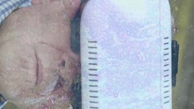 Animation of scope scanning and data processing over man wearing vr headset. data processing, connections and technology concept digitally generated video. - Powered by Shutterstock - Get 15% off with code: PIKWIZARD15