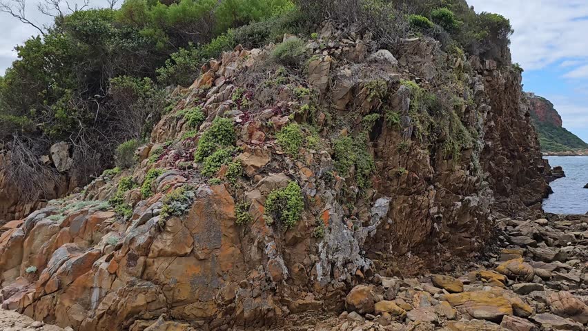 Exploring unique rock formations and coastal vegetation at a serene beach location