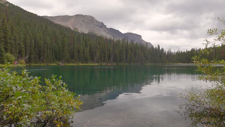 The green water reflects the vibrant greenery, showcasing the untouched natural beauty of the wilderness. This cinematic scene is perfect for projects related to eco-tourism, environmental conservatio
