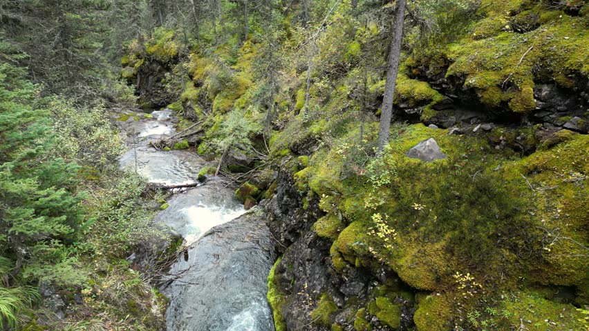 The green water reflects the vibrant greenery, showcasing the untouched natural beauty of the wilderness. This cinematic scene is perfect for projects related to eco-tourism, environmental conservatio