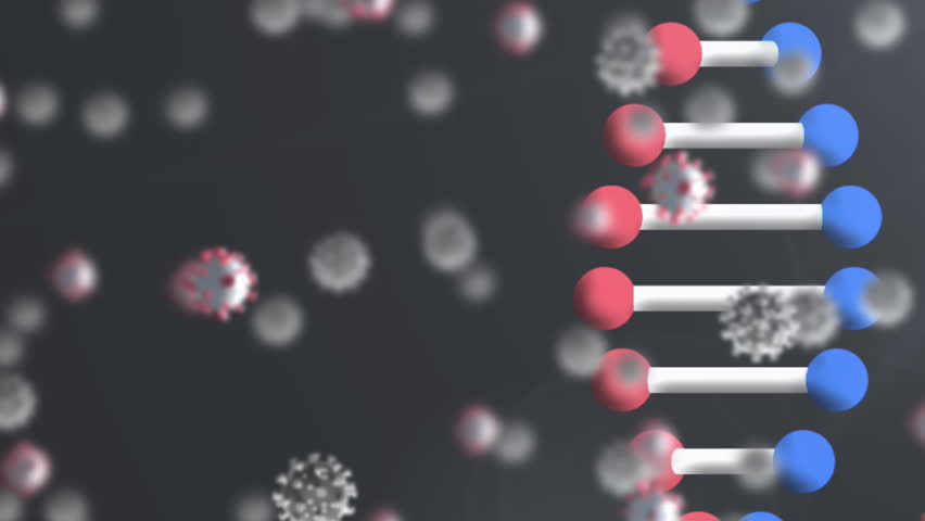 Animation of 3d DNA strand spinning with Covid 19 coronavirus cells floating on black background. Covid 19 pandemic health care science concept digitally generated image. - Powered by Shutterstock - Get 15% off with code: PIKWIZARD15
