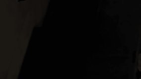 Animation of financial data processing over portrait of smiling man in cafe holding Open sign and cup of coffee. Global finance business interface concept digitally generated image. - Powered by Shutterstock - Get 15% off with code: PIKWIZARD15