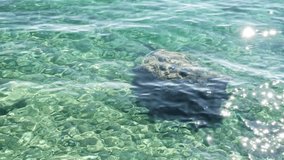 Turquoise water flows smoothly over a rock beneath the surface, highlighting the clarity and calmness of the aquatic scene in natural light - Powered by Shutterstock - Get 15% off with code: PIKWIZARD15