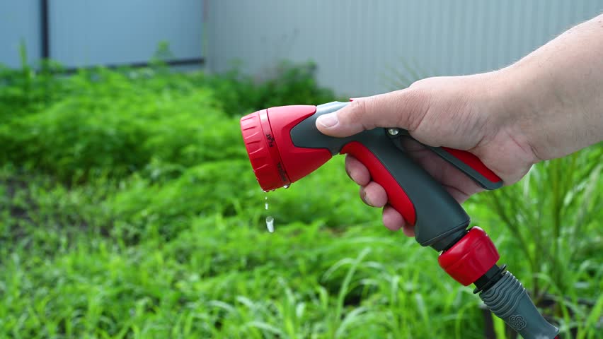 The gardener waters the plants with a hose. A stream of water sprays from a garden hose.