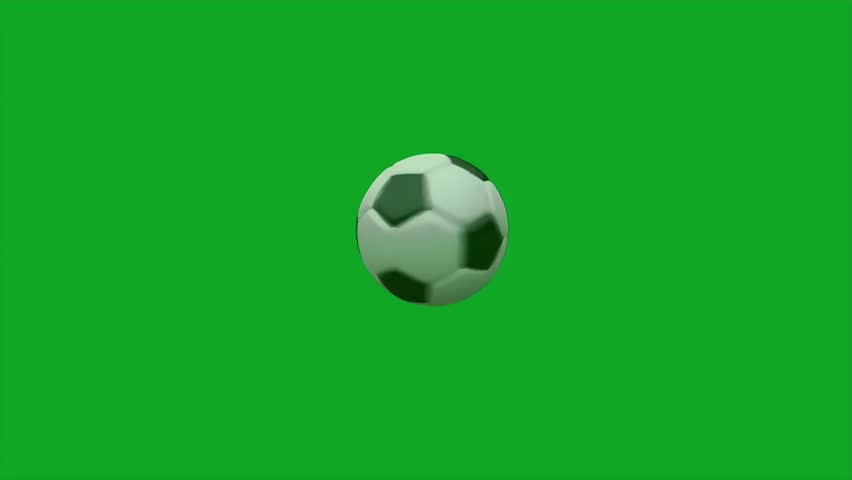 Shutterstock Video
