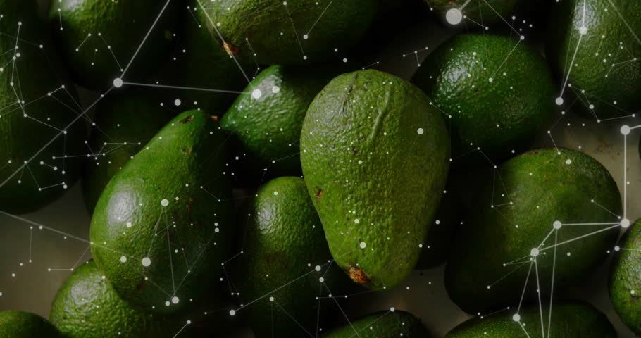 Digital interface scanning and overlaying glitch bars over avocado cluster analyzing freshness data. Technology, freshness, analytics, digital, innovation, precision, modern