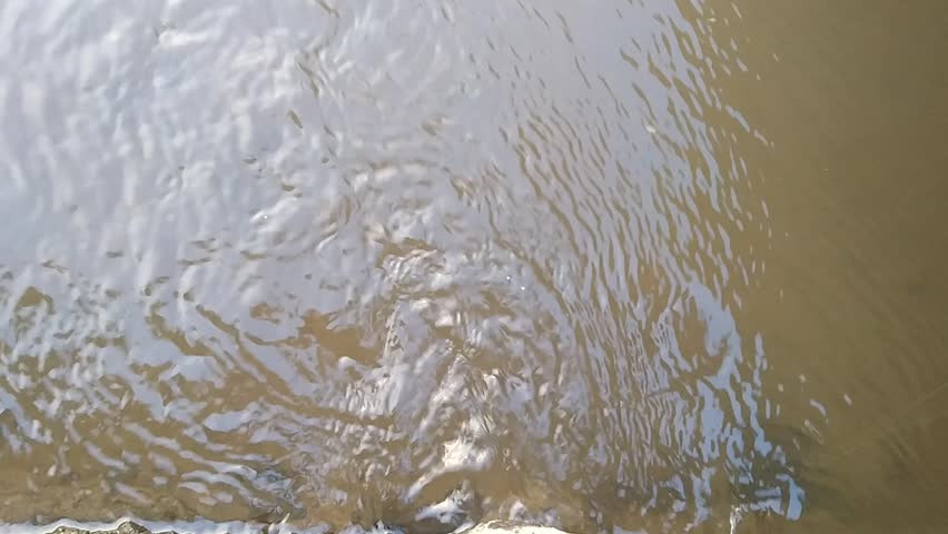 Peaceful morning scene with birds chirping and river stream flowing gently. Ideal for nature, relaxation, and mindfulness concepts. Perfect for background or wellness visuals.
