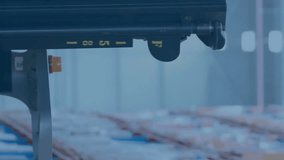 Facial recognition animation over warehouse worker operating forklift. Technology, automation, logistics, security, surveillance, AI - Powered by Shutterstock - Get 15% off with code: PIKWIZARD15