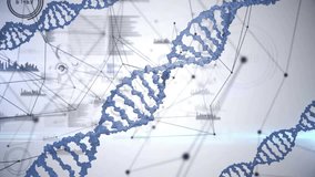 On data load blue DNA helix rotating revealing parts while network nodes pulsing showing data flow. Molecular, innovation, futuristic, technology, analytics, bioinformatics, visualization - Powered by Shutterstock - Get 15% off with code: PIKWIZARD15
