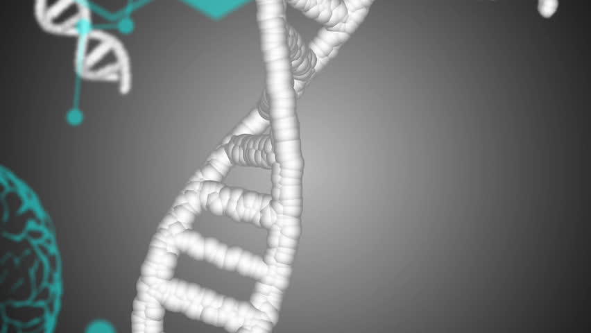 Animation of elements, brains, dna strands and data processing on dark background. Connection, science, medical research, healthcare, digital interface and communication, digitally generated video. - Powered by Shutterstock - Get 15% off with code: PIKWIZARD15