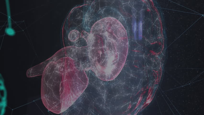 Animation of chemical formulas and data processing over rotating brain. digital security, biometric data, science and technology concept digitally generated video. - Powered by Shutterstock - Get 15% off with code: PIKWIZARD15