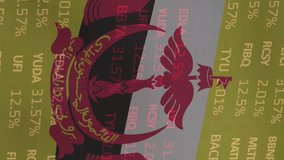 Animation of flag of brunei over financial data processing. National economy, connection, finance, digital interface and communication, digitally generated video. - Powered by Shutterstock - Get 15% off with code: PIKWIZARD15