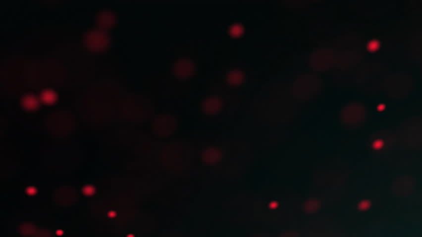 Animation of dna strand spinning over glowing green light trails on black background. Global science, connections, computing and data processing concept digitally generated video. - Powered by Shutterstock - Get 15% off with code: PIKWIZARD15