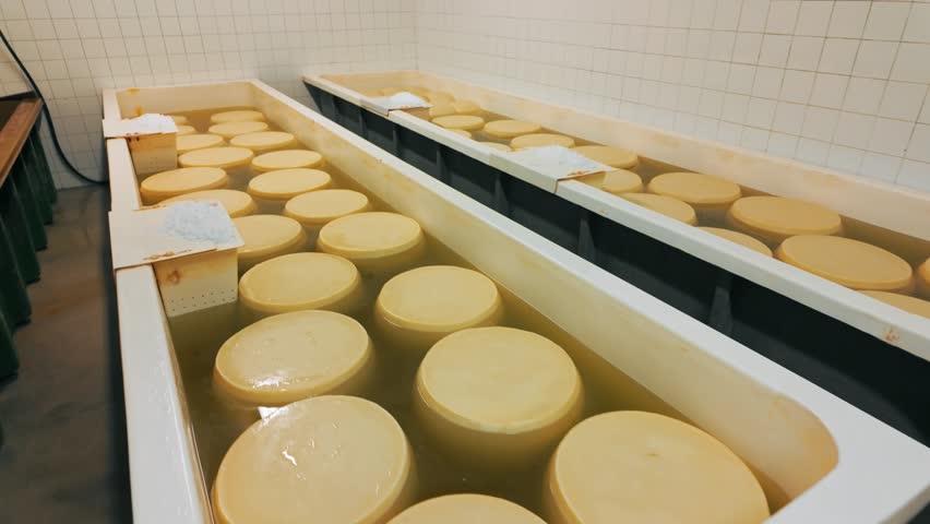 Traditional production process of Parmigiano-Reggiano hard cheese on a small dairy farm in Parma, Italy. Factory maturation room with shelves storing Parmesan cheese wheels aging for up to 5 years 