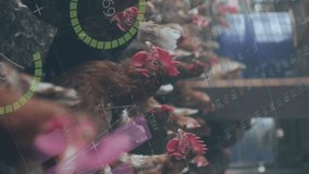 Animation of data processing over chickens. Animal, digital interface and data processing concept digitally generated image. - Powered by Shutterstock - Get 15% off with code: PIKWIZARD15