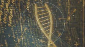 DNA strands and mathematical formulas over scientific data processing animation. Biotechnology, molecular, genetics, research, analysis, computation - Powered by Shutterstock - Get 15% off with code: PIKWIZARD15