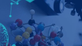 Animation of data processing over laboratory equipment in lab. global science and digital interface concept digitally generated video. - Powered by Shutterstock - Get 15% off with code: PIKWIZARD15