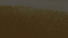 Animation of data processing with graph over diverse couple. Global technology, finances and digital interface concept digitally generated video. - Powered by Shutterstock - Get 15% off with code: PIKWIZARD15