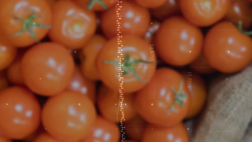 Animation of data processing over close up of fresh tomatoes at a grocery store. Retail business technology concept - Powered by Shutterstock - Get 15% off with code: PIKWIZARD15